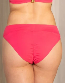 Bikini-Brazilian Valencia flamingo