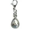 Bra Charm Jewel crystal silver
